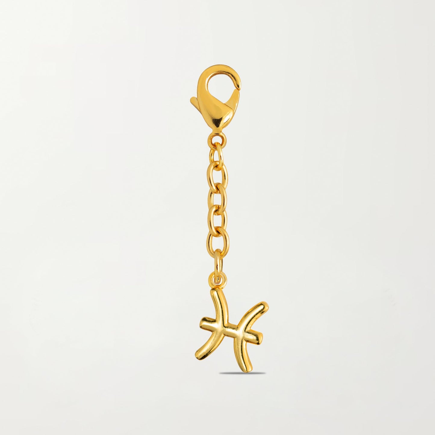 The Zodiac Charm