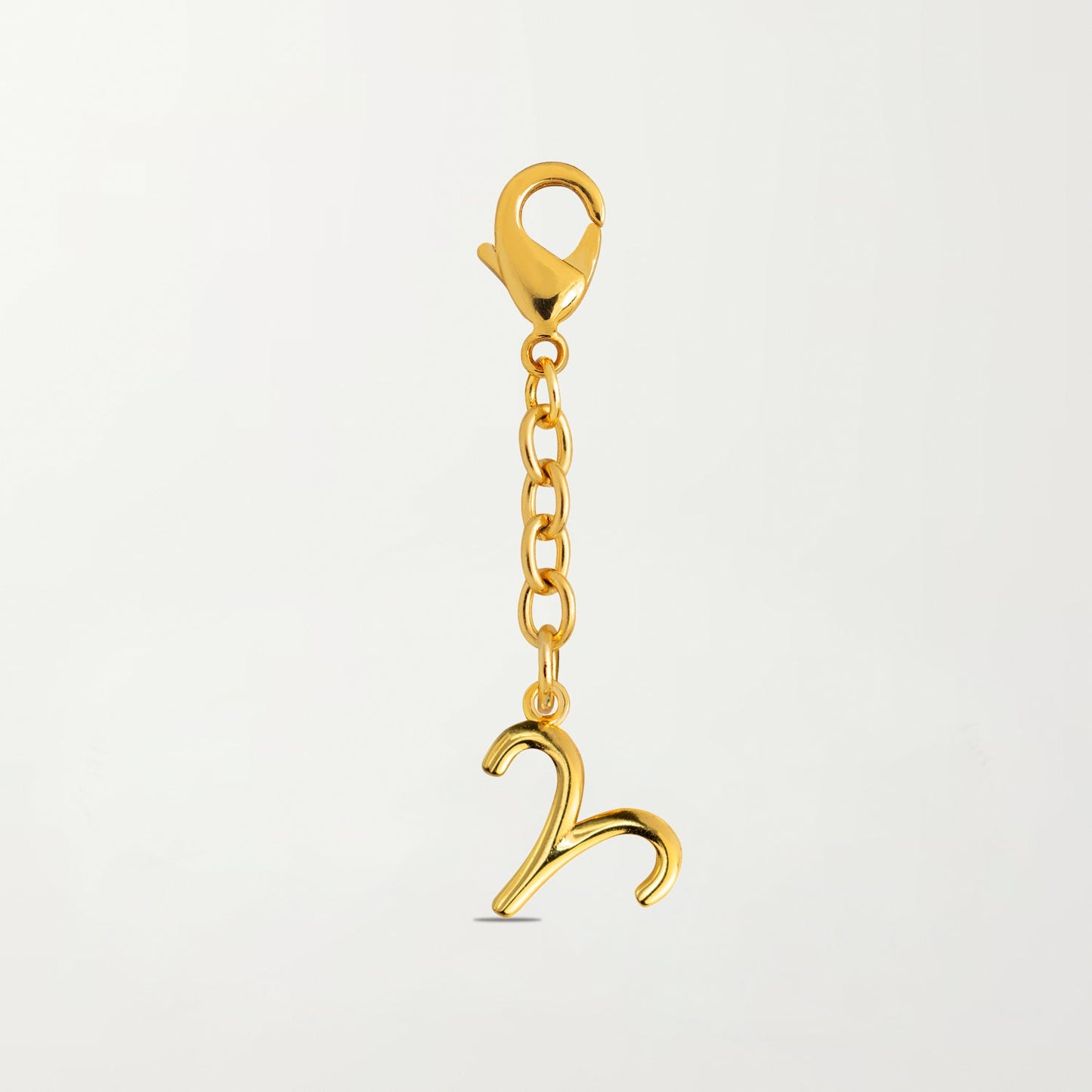 The Zodiac Charm